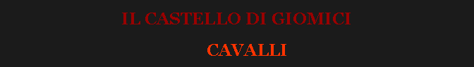 Casella di testo: IL CASTELLO DI GIOMICI           CAVALLI